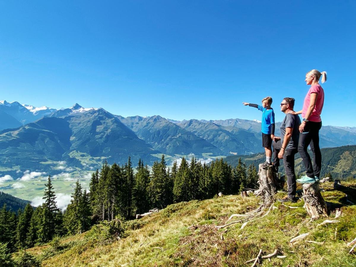 Alpen Chalets Zell Am See Niedernsill Luaran gambar