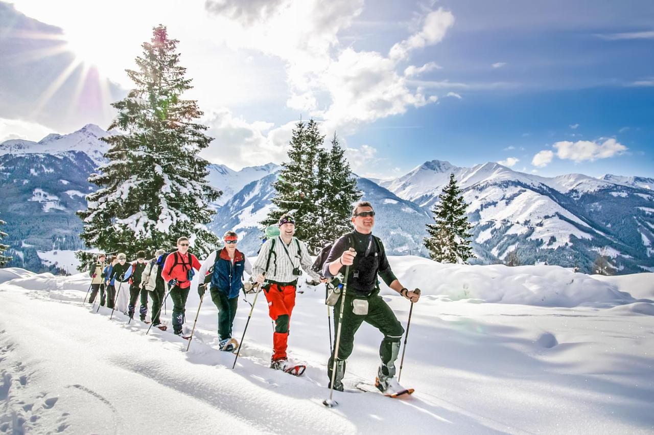 Alpen Chalets Zell Am See Niedernsill Luaran gambar